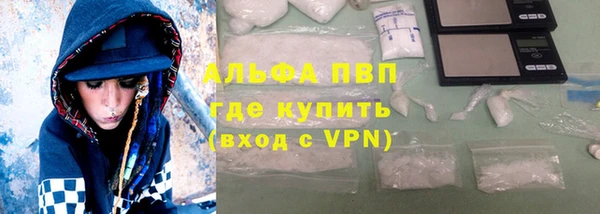 СК Алексин