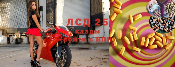 СК Алексин