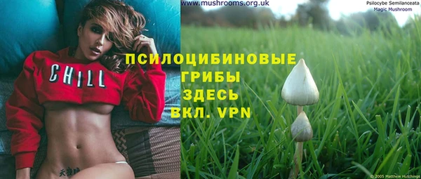 MESCALINE Алзамай