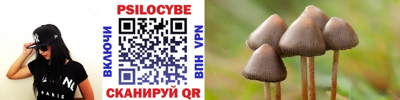 Псилоцибиновые грибы ЛСД наркотики Кудымкар